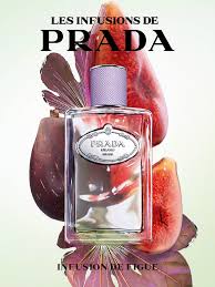 Les Infusión de Prada Infusión de figue 100 ML